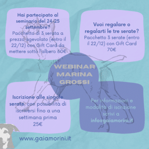Webinar Marina Grossi